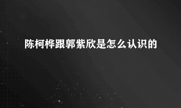 陈柯桦跟郭紫欣是怎么认识的