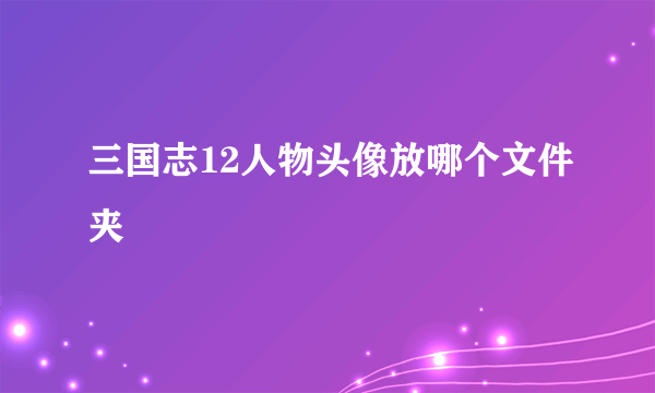 三国志12人物头像放哪个文件夹