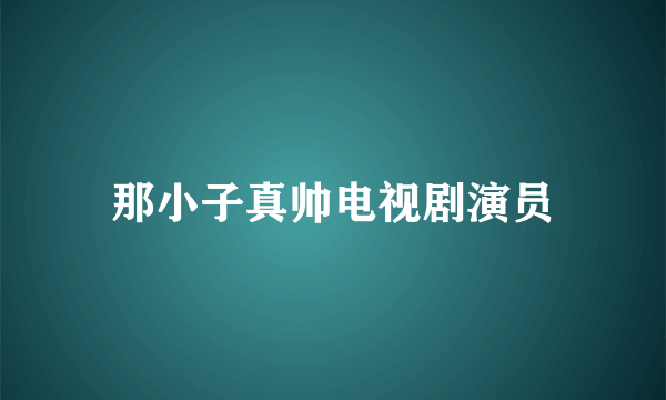 那小子真帅电视剧演员