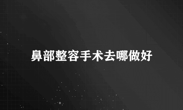 鼻部整容手术去哪做好