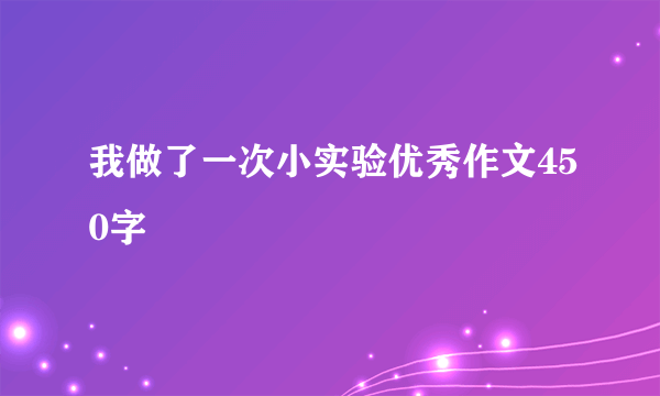 我做了一次小实验优秀作文450字