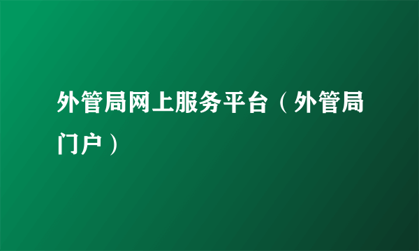 外管局网上服务平台（外管局门户）