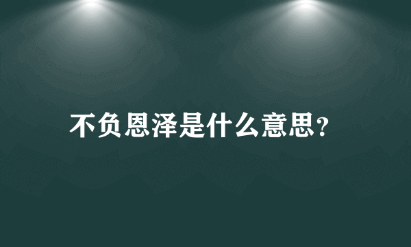 不负恩泽是什么意思？