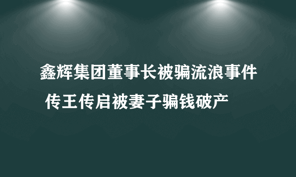 鑫辉集团董事长被骗流浪事件 传王传启被妻子骗钱破产